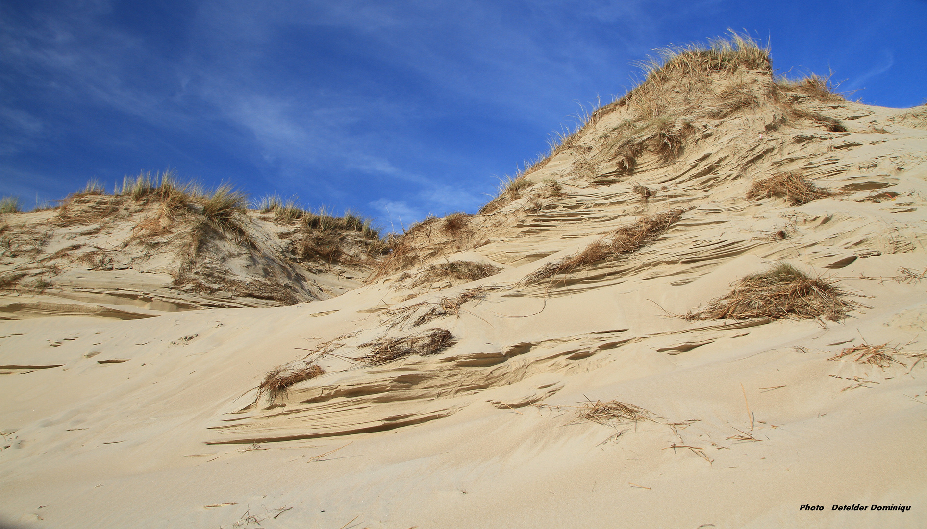 Les dunes de Merlimont : Cote D'Opale .