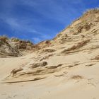 Les dunes de Merlimont : Cote D'Opale .