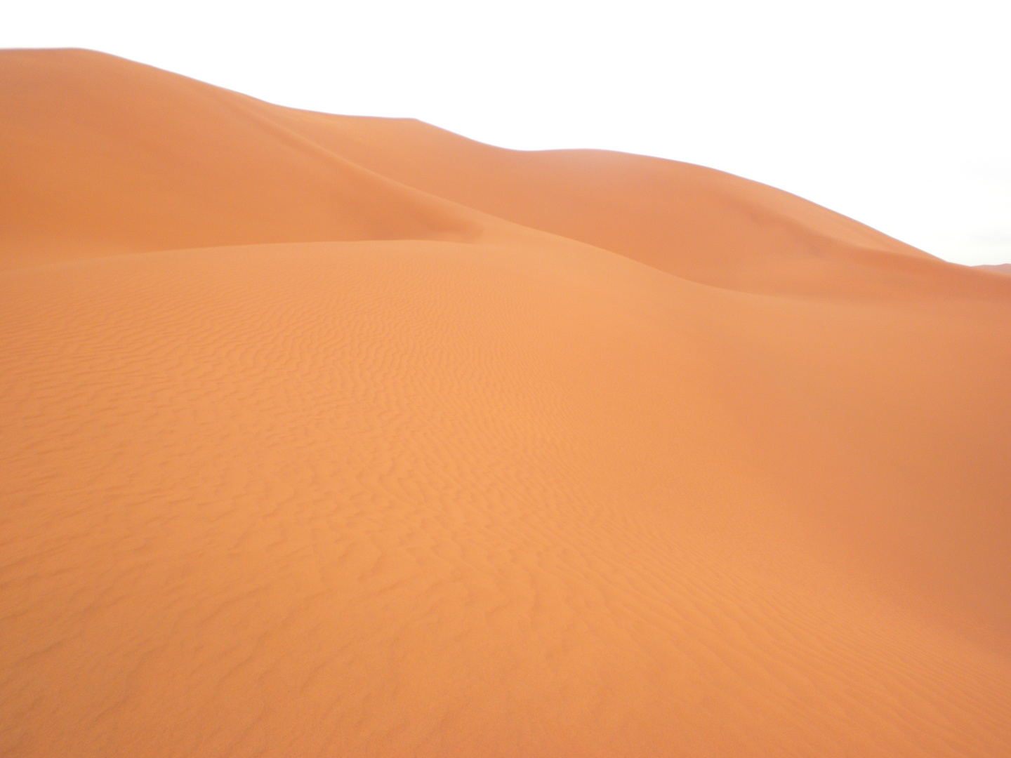 Les Dunes de Sables dans la région de BELLAGBOUR (Wilaya de Illizi)((Algerie))