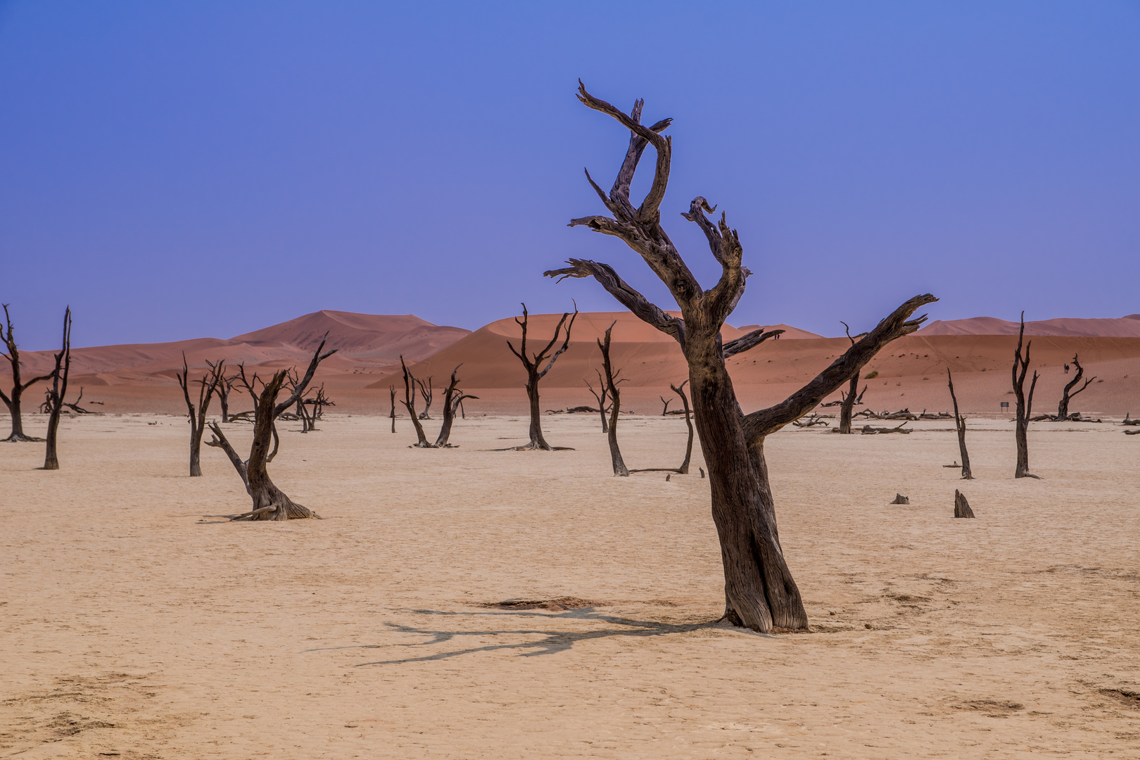 Les dunes de Sossusvlei en Namibie