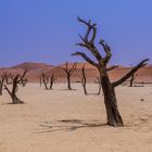 Les dunes de Sossusvlei en Namibie