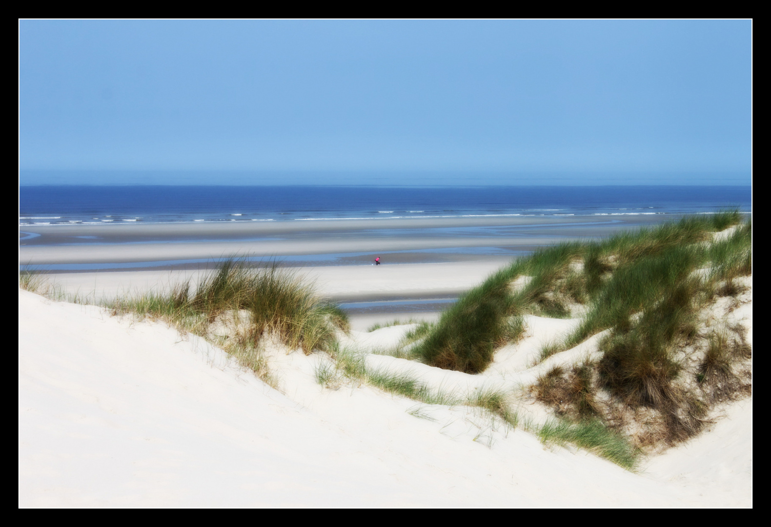 Les dunes de Stella-Plage