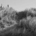 Les dunes des Plages du Nord