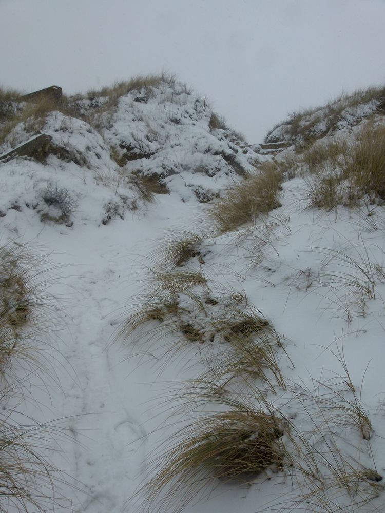 Les dunes en hiver