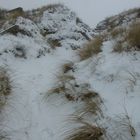 Les dunes en hiver