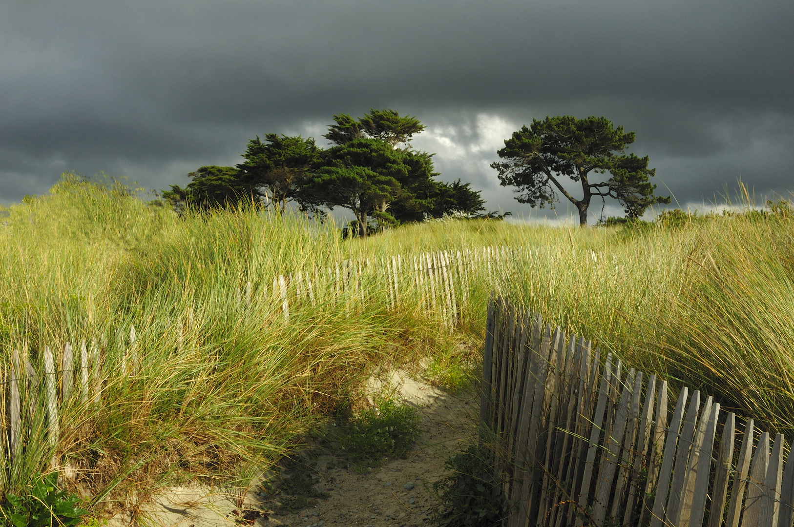 Les Dunes.....