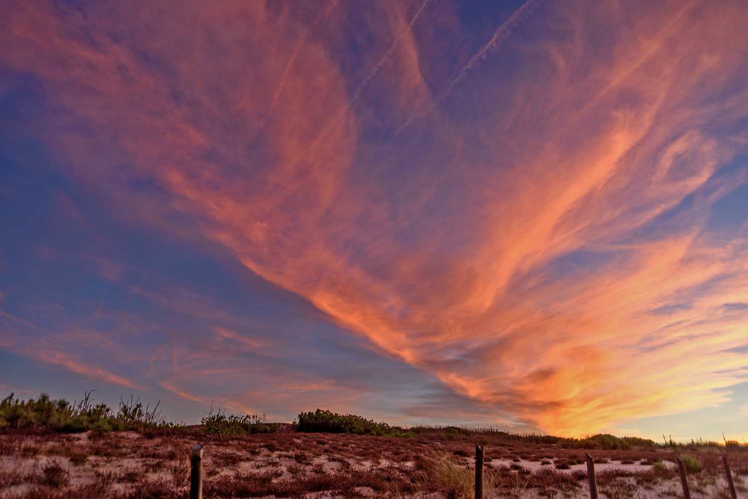 Les dunes, le soir