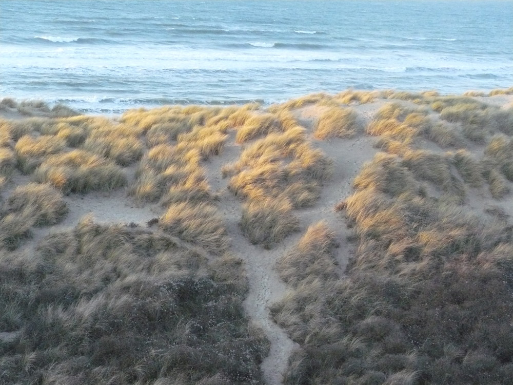 les dunes par un soir de vent