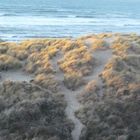 les dunes par un soir de vent