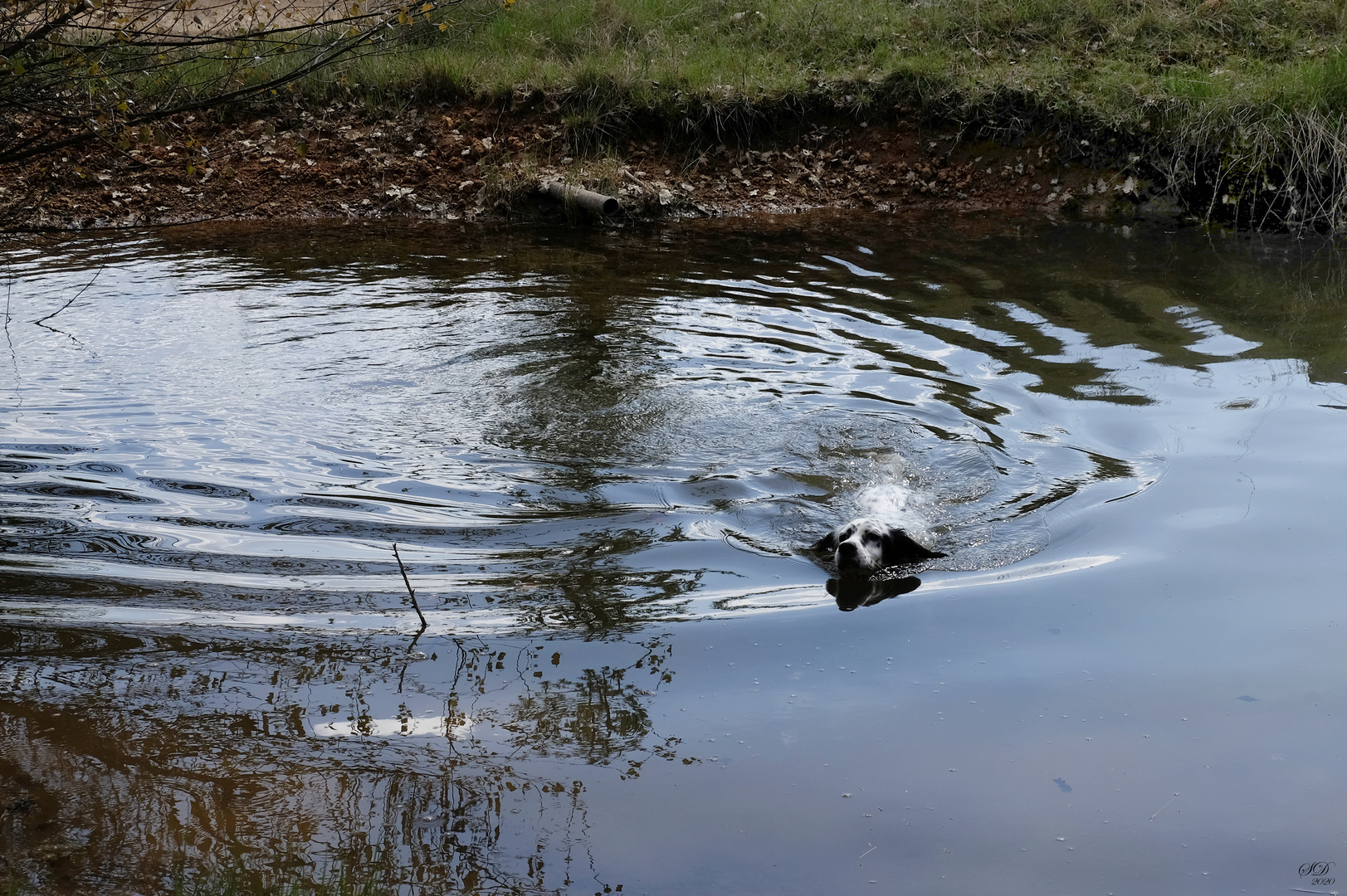 Les eaux bleues