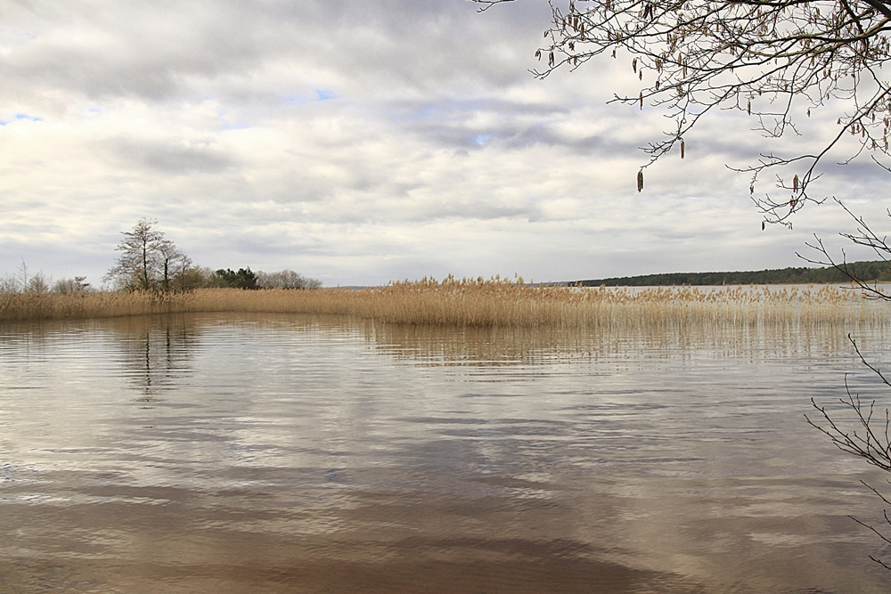 les eaux calmes du lac !