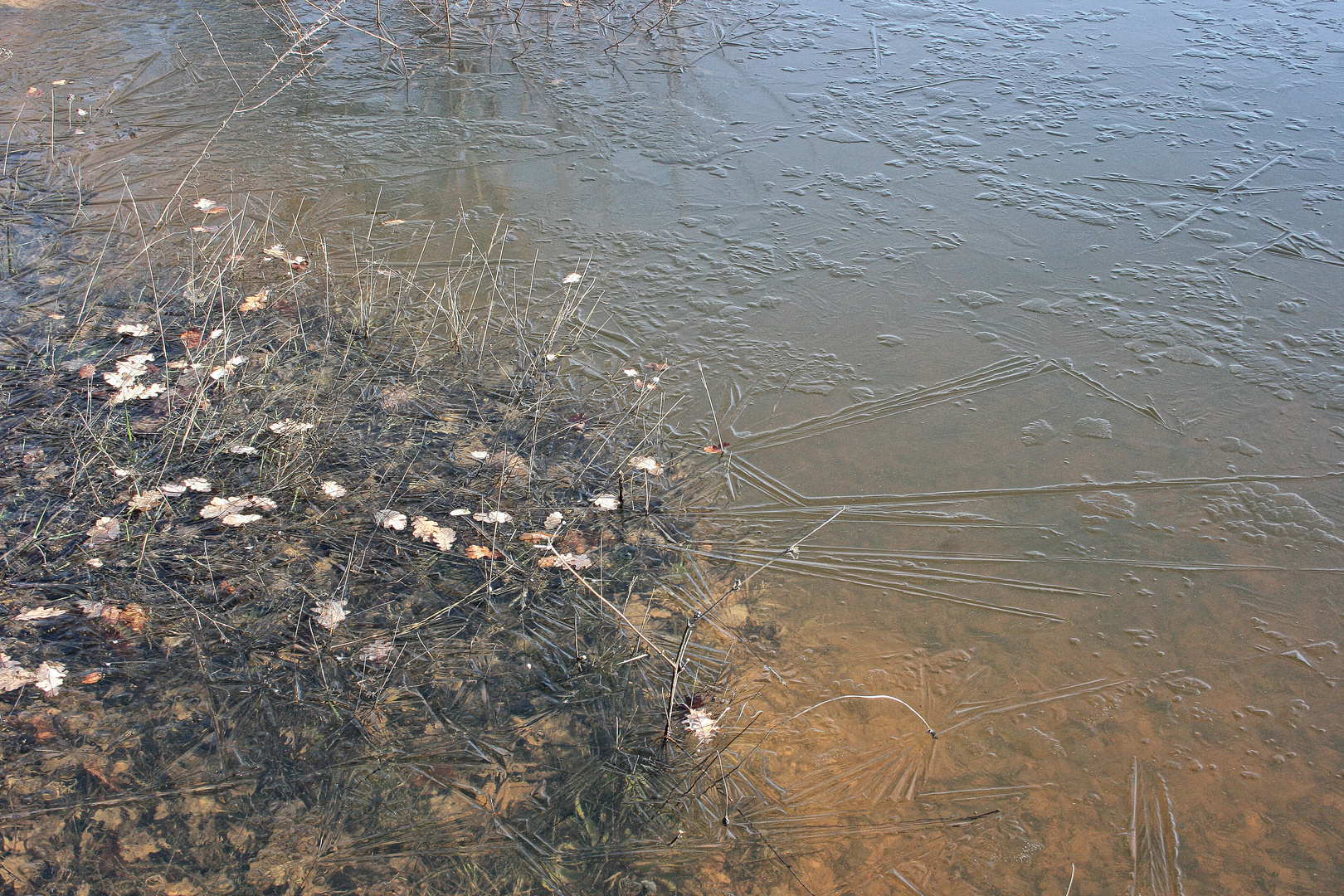 Les eaux gelées 