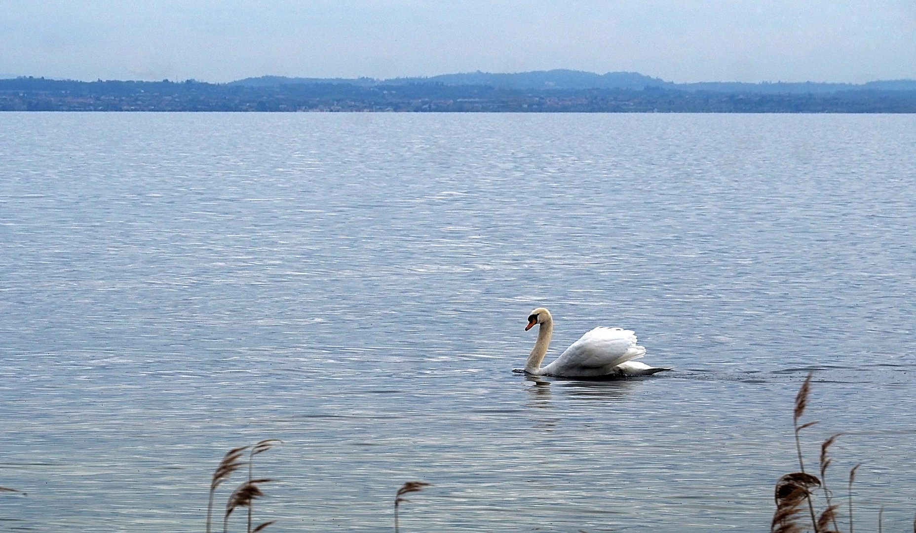 Les eaux paisibles du lac