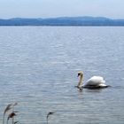 Les eaux paisibles du lac