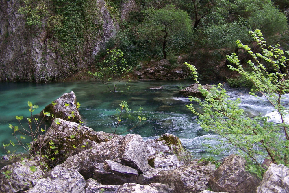 Les eaux sauvages