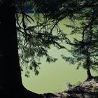 Les eaux vertes du lac vert
