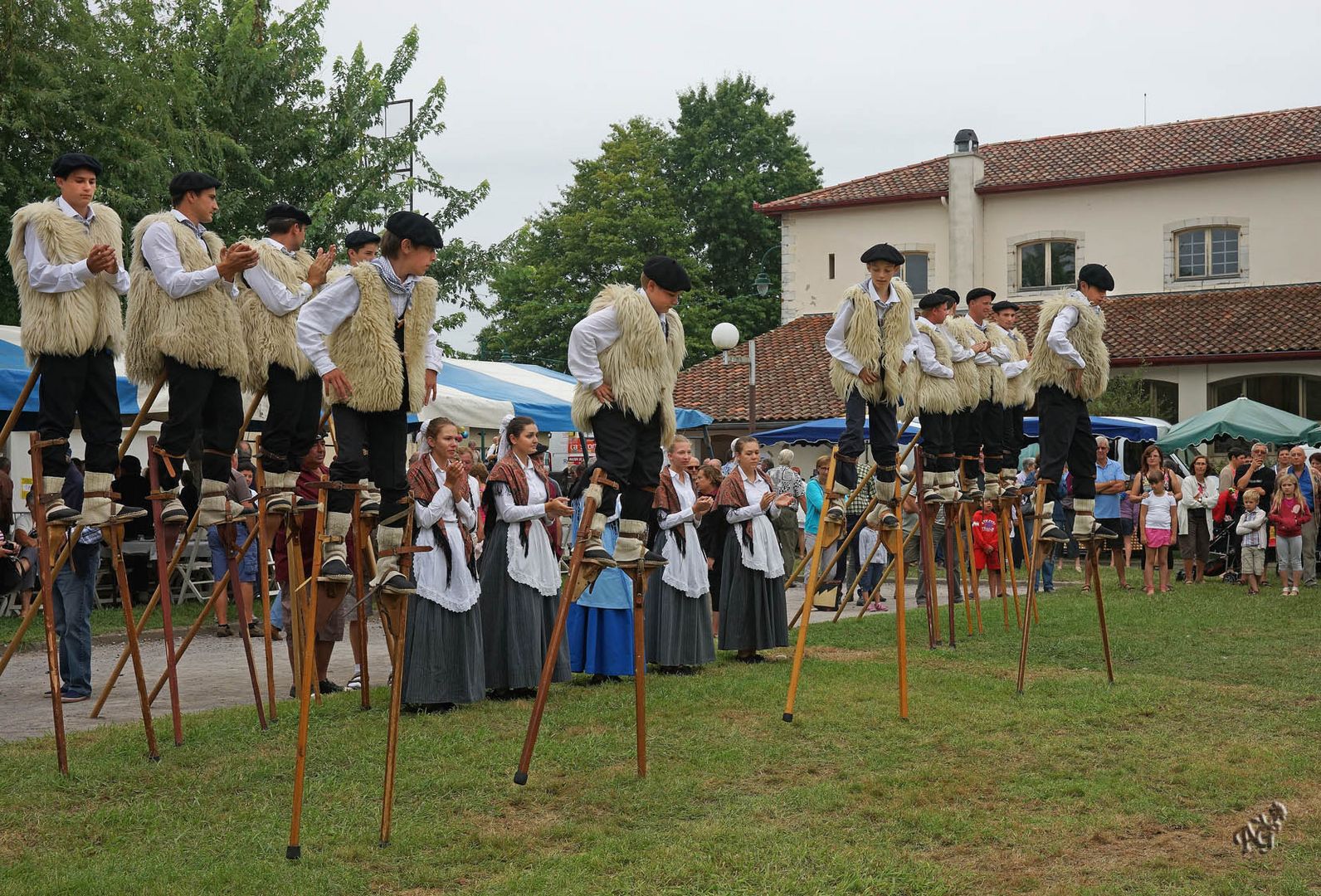 Les échassiers landais