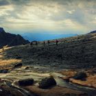 Les Ecrins (le Glacier Blanc - 3 000m)