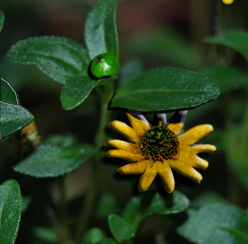 les effets d'une fleur jaune