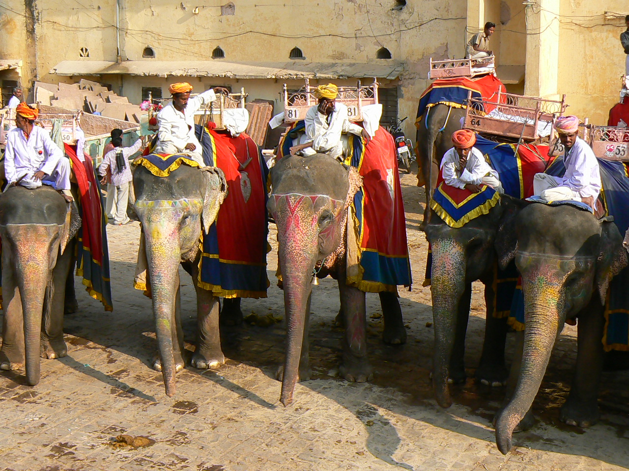 Les éléphants du Fort d'Amber .