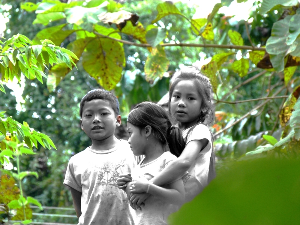 les enfants dans la verdure