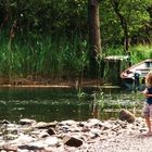 Les enfants du marais