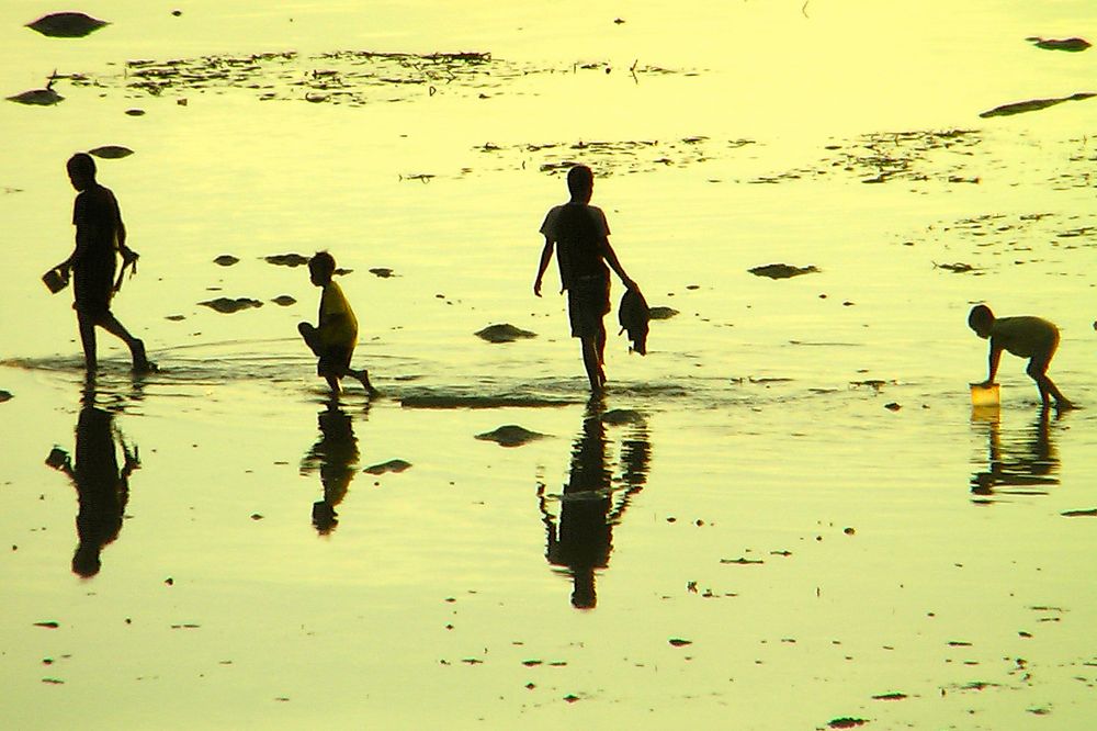 Les enfants du soleil