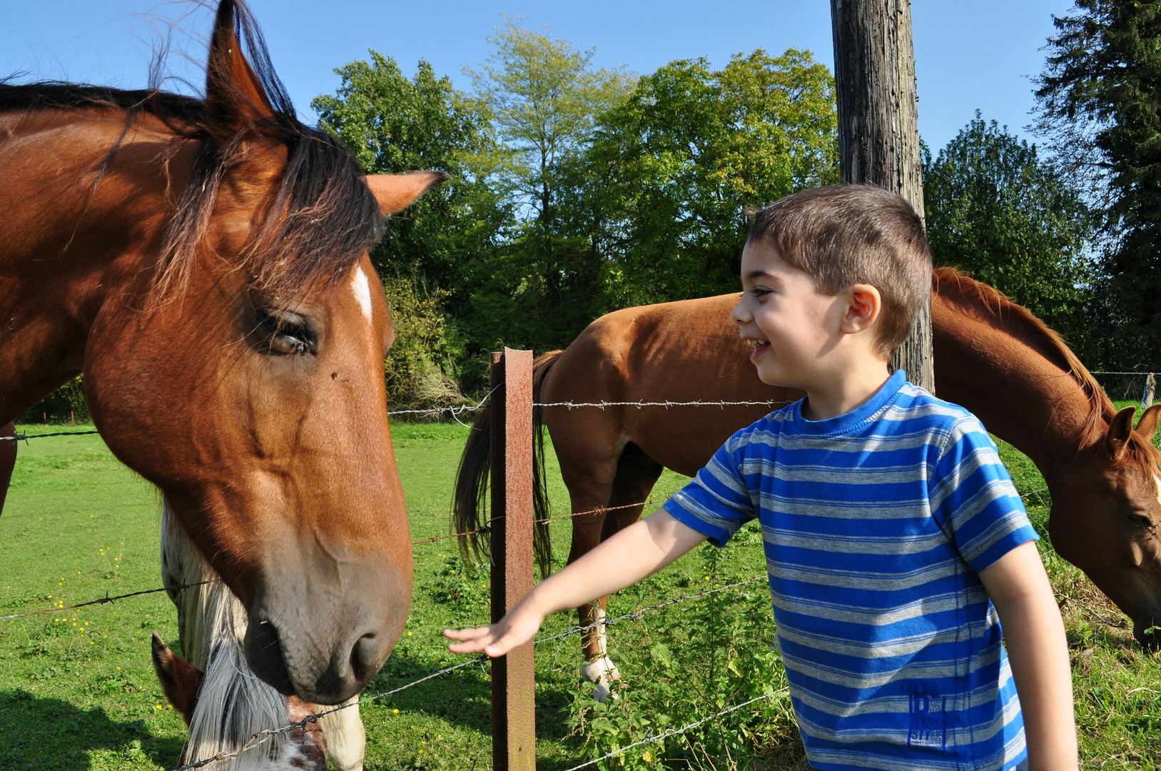 les enfants et les betes