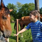 les enfants et les betes