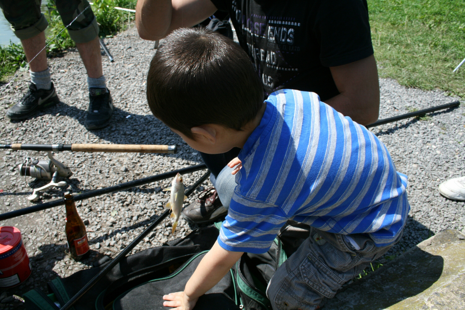 les enfants et les betes