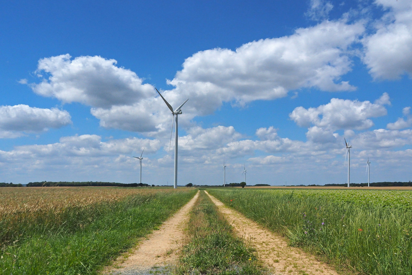 Les éoliennes de la plaine de Saint-Gaudent (Vienne)