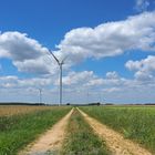 Les éoliennes de la plaine de Saint-Gaudent (Vienne)