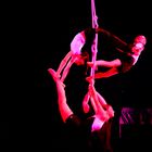 LES EQUILIBRISTES