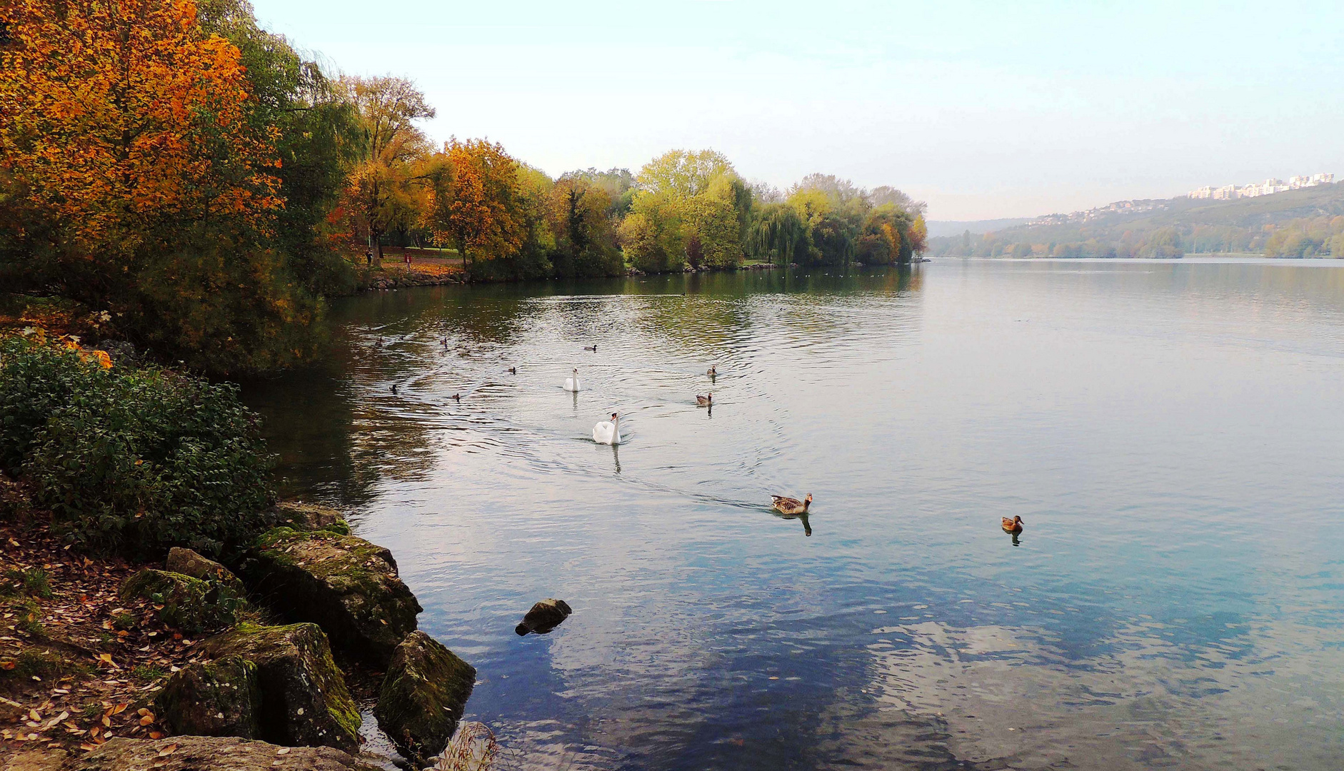 Les escadres sur le lac Kir