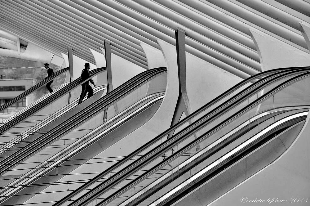 les escalators