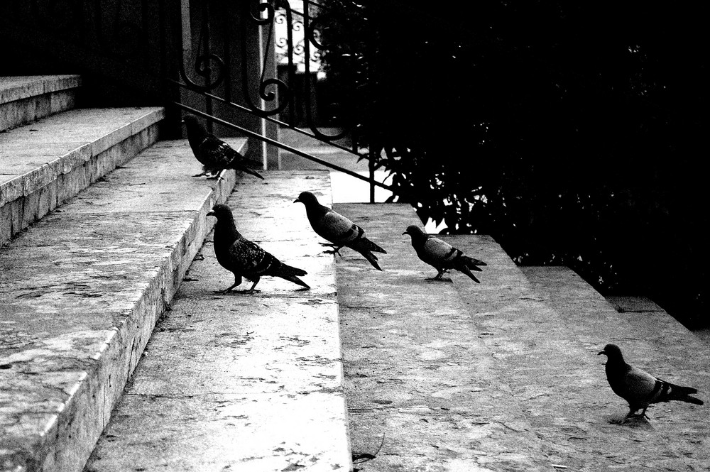 " Les escales de Plaça"