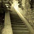les escaliers