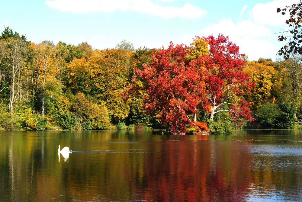 les etangs de commelles