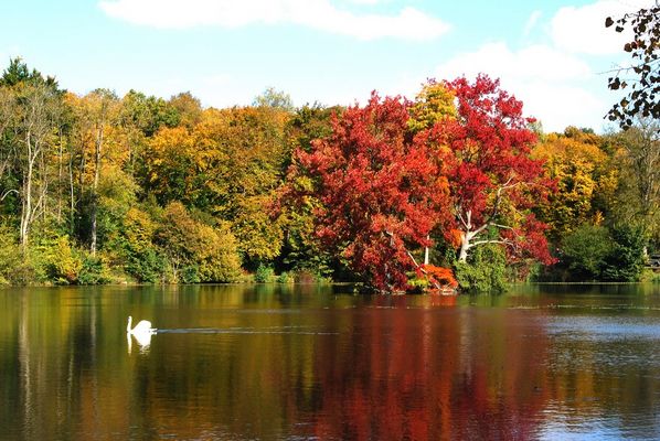 les etangs de commelles