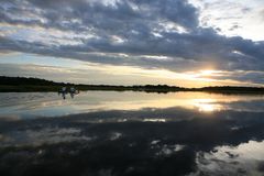 les étangs du pantanal