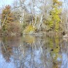 les étangs en hiver lumière naturelle