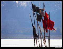 " Les étendards des Samouraïs de la mer "