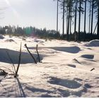 Les Fagnes sous la neige