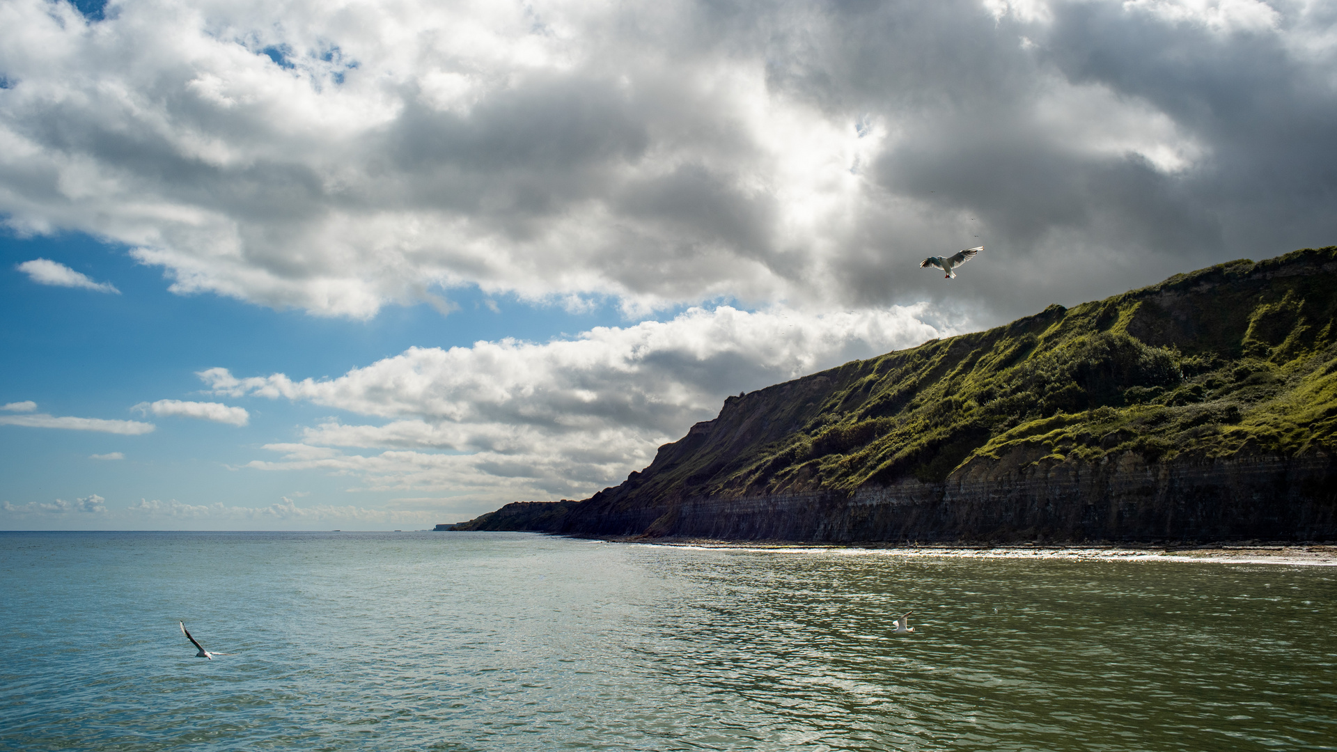 Les falaises