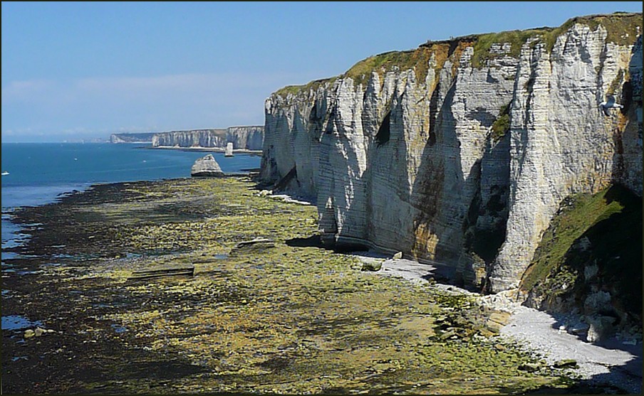 LES FALAISES A MAREE BASSE (ETRETAT)