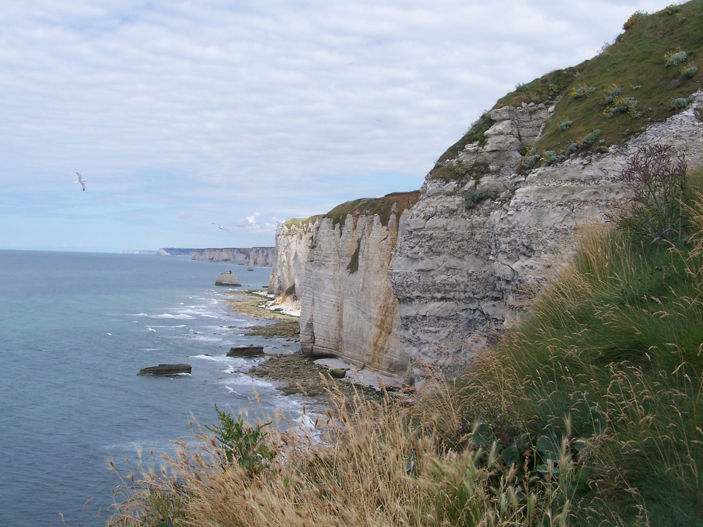 Les falaises d'Etretat