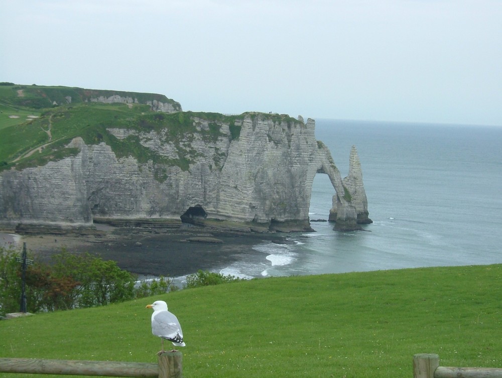 Les Falaises d'Etretat