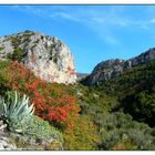 "Les falaises du Baus roux "