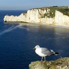 Les Fallaises d´Etretat...