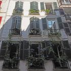 Les fenêtres aux volets verts  -  Bayonne
